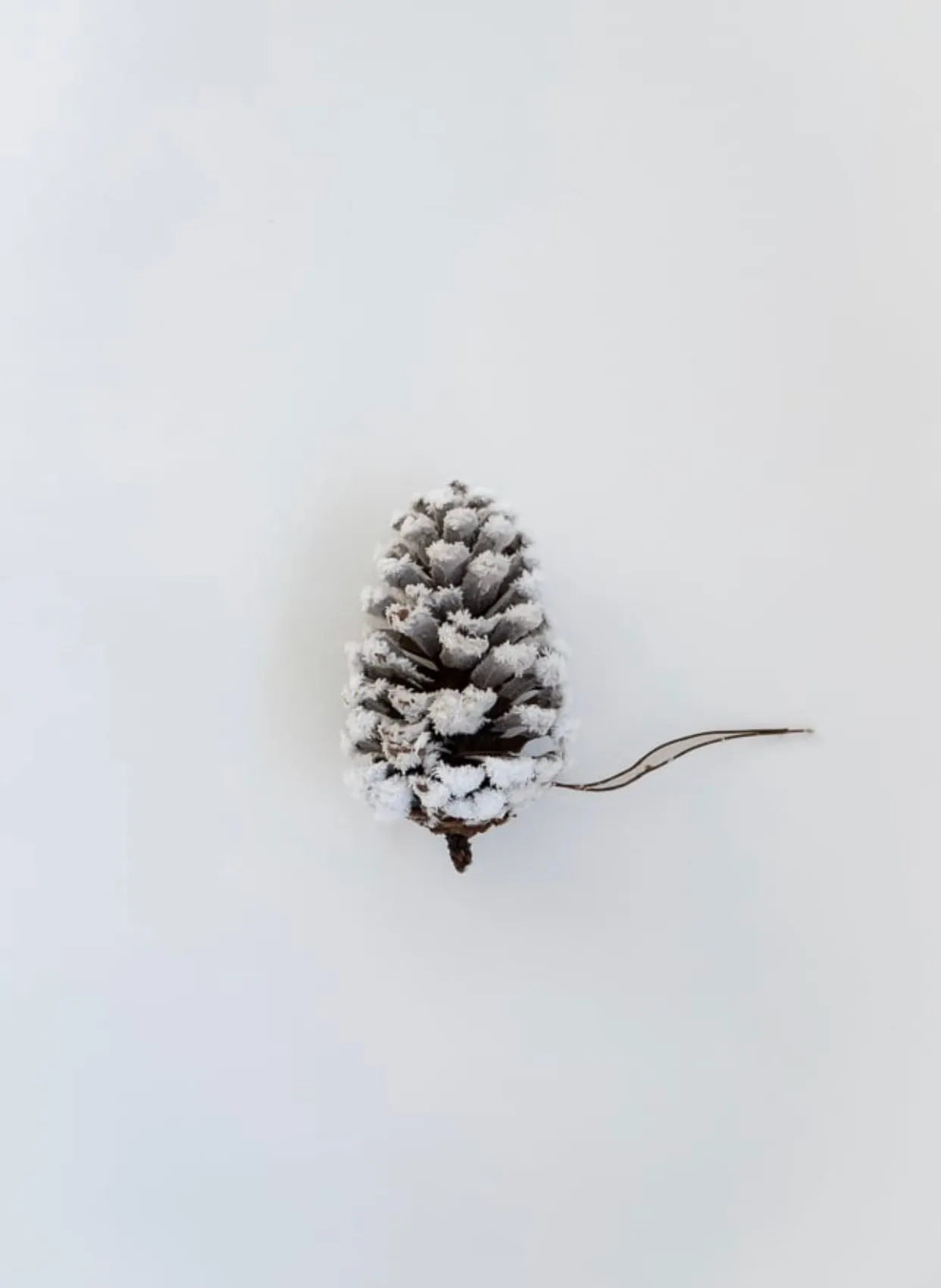 Bag of snowy pinecones x 6