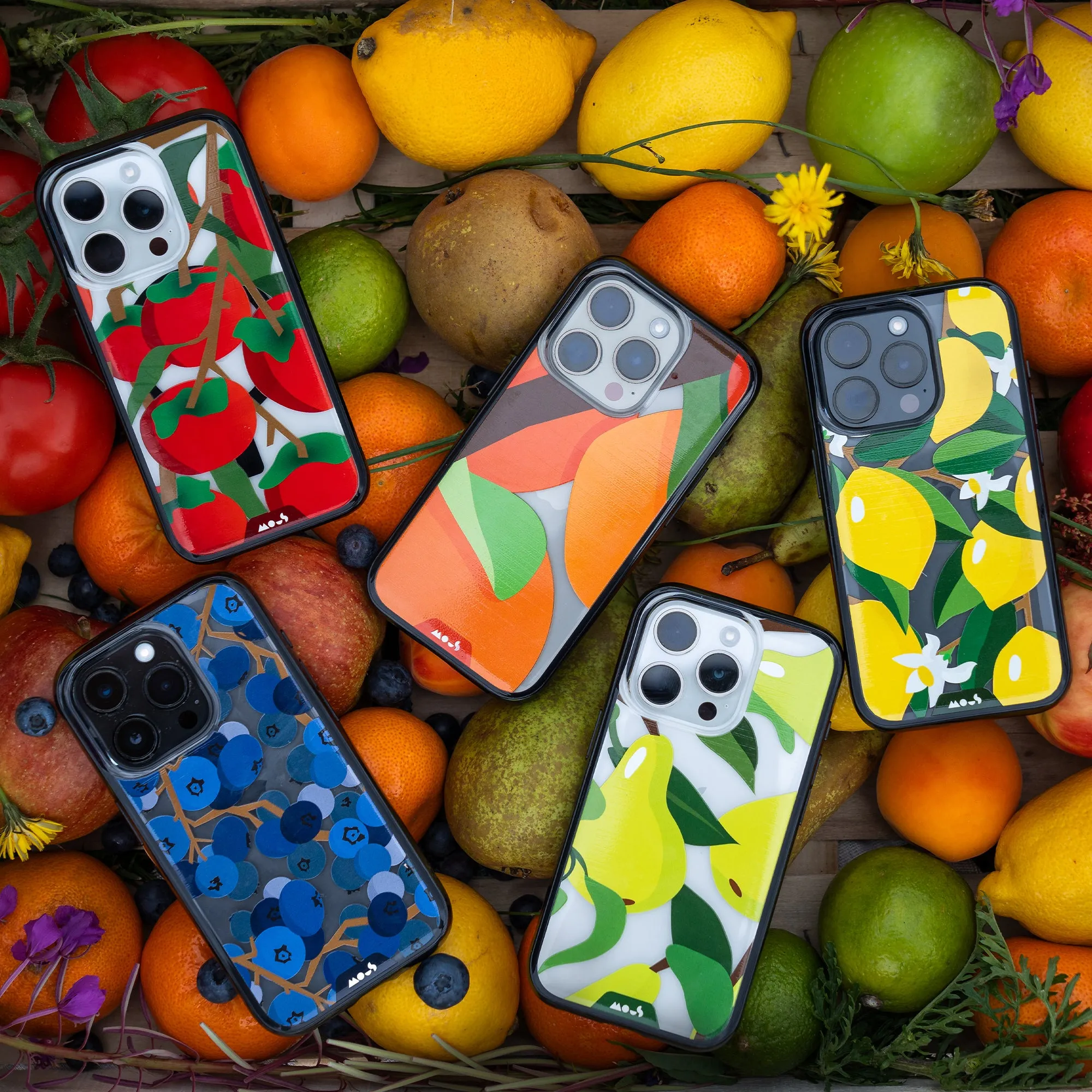 Fruits Printed Phone Case – Blueberry - Clarity