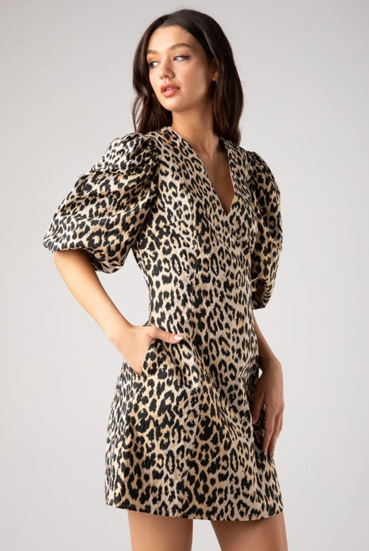 Metallic Leopard Dress