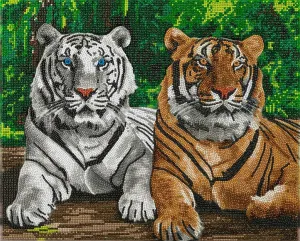 "Tigers" Crystal Art Kit 40x50cm